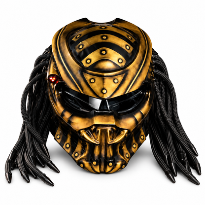 Predator Carbon Fiber Helmet 3