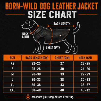Born-Wild Dog Leather Jacket