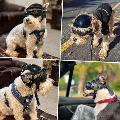 Pet Rider Helmet