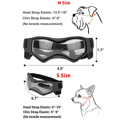 Pet Rider Helmet