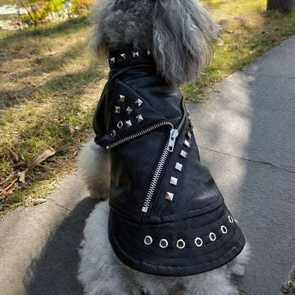 Samuel Dog Leather Jacket