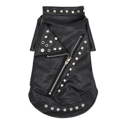 Samuel Dog Leather Jacket