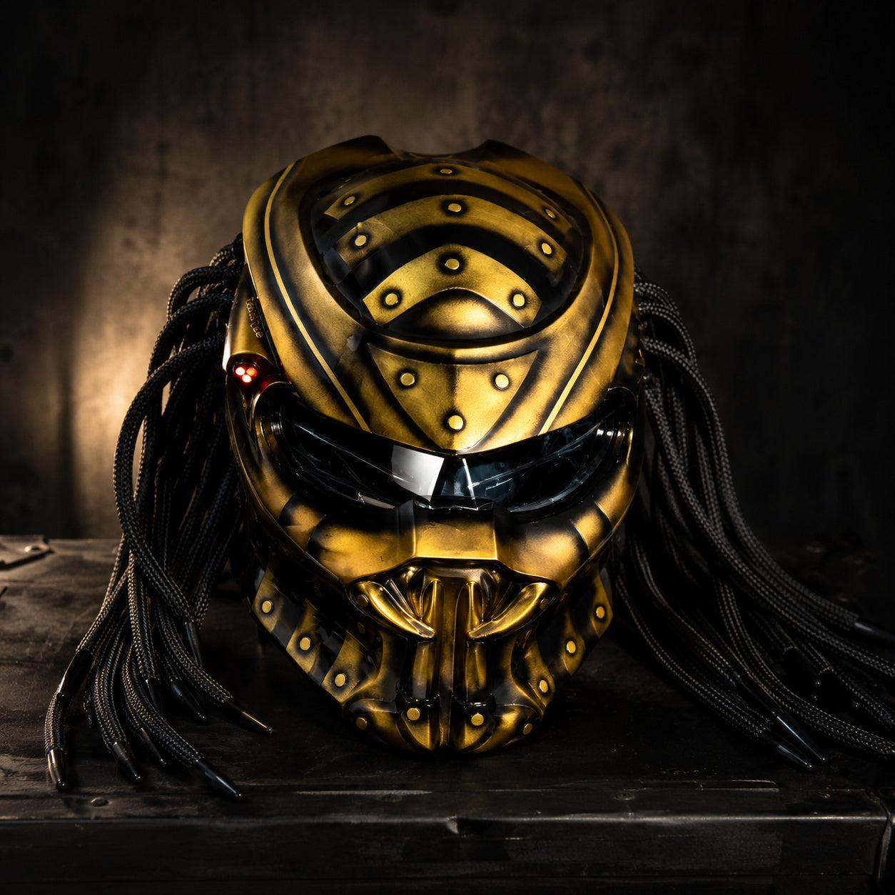 Predator Carbon Fiber Helmet 3