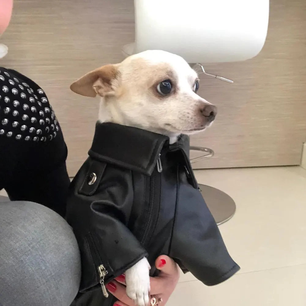 Born-Wild Dog Leather Jacket