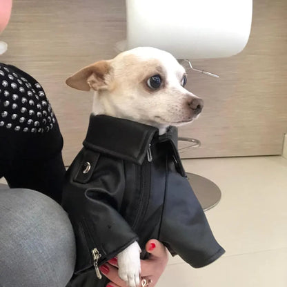 Born-Wild Dog Leather Jacket