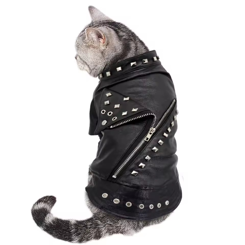 Samuel Dog Leather Jacket