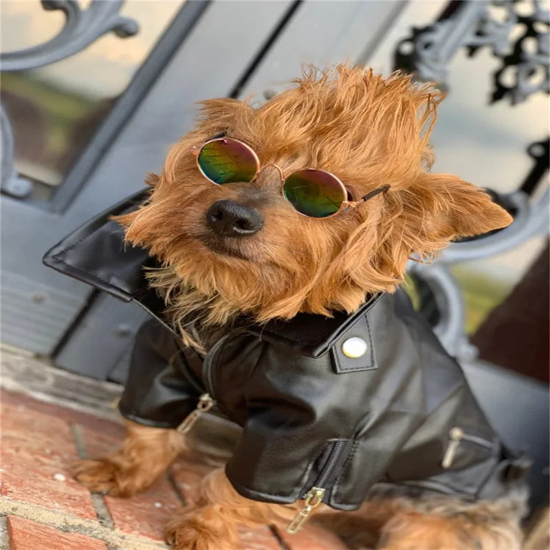 Born-Wild Dog Leather Jacket