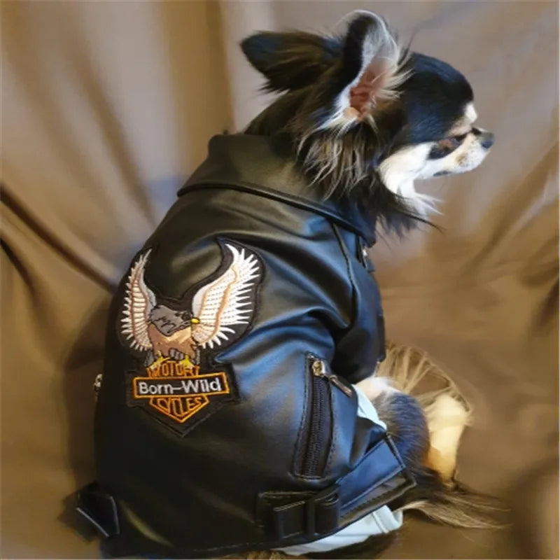 Born-Wild Dog Leather Jacket