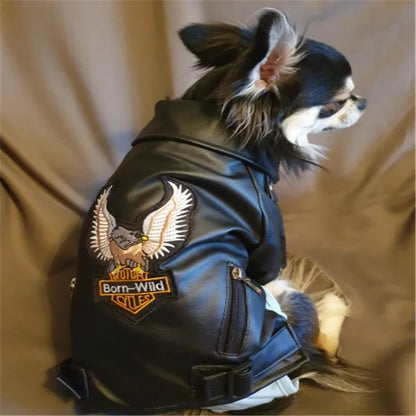 Born-Wild Dog Leather Jacket