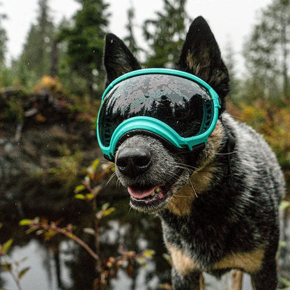 Anti UV Dog Goggles