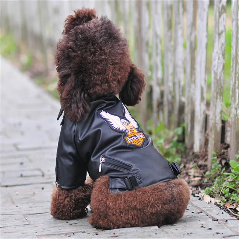 Born-Wild Dog Leather Jacket