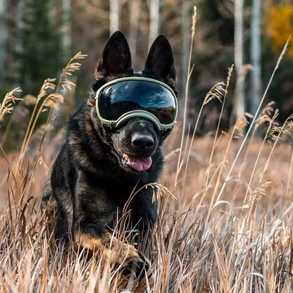 Anti UV Dog Goggles