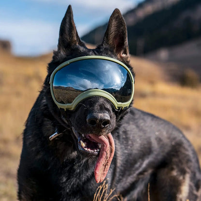 Anti UV Dog Goggles