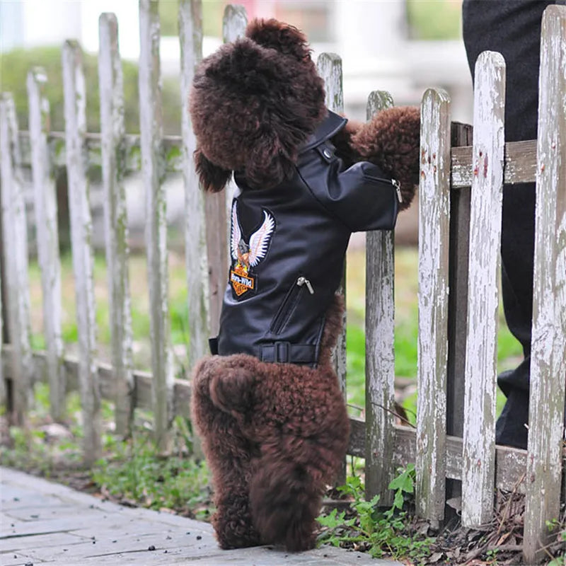 Born-Wild Dog Leather Jacket