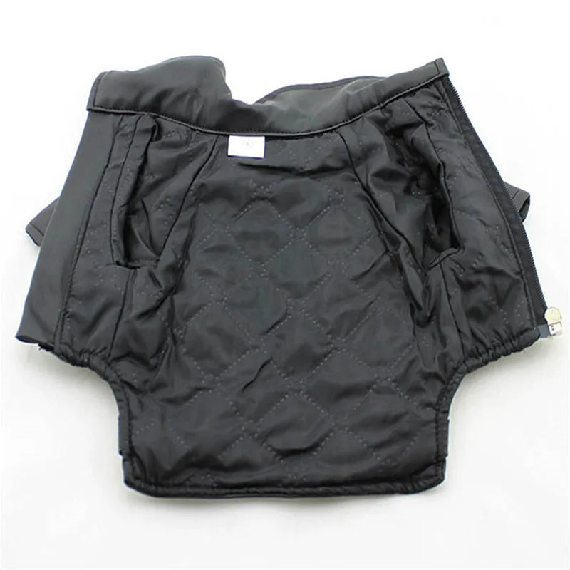 Born-Wild Dog Leather Jacket