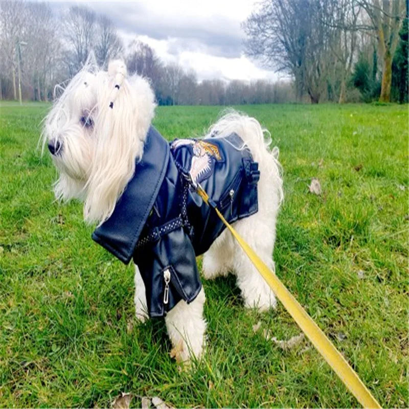 Born-Wild Dog Leather Jacket