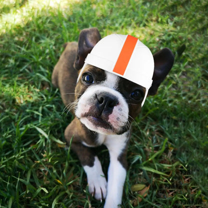 Mini Pet Protective Helmet