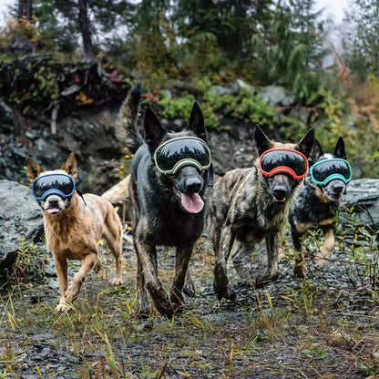 Anti UV Dog Goggles