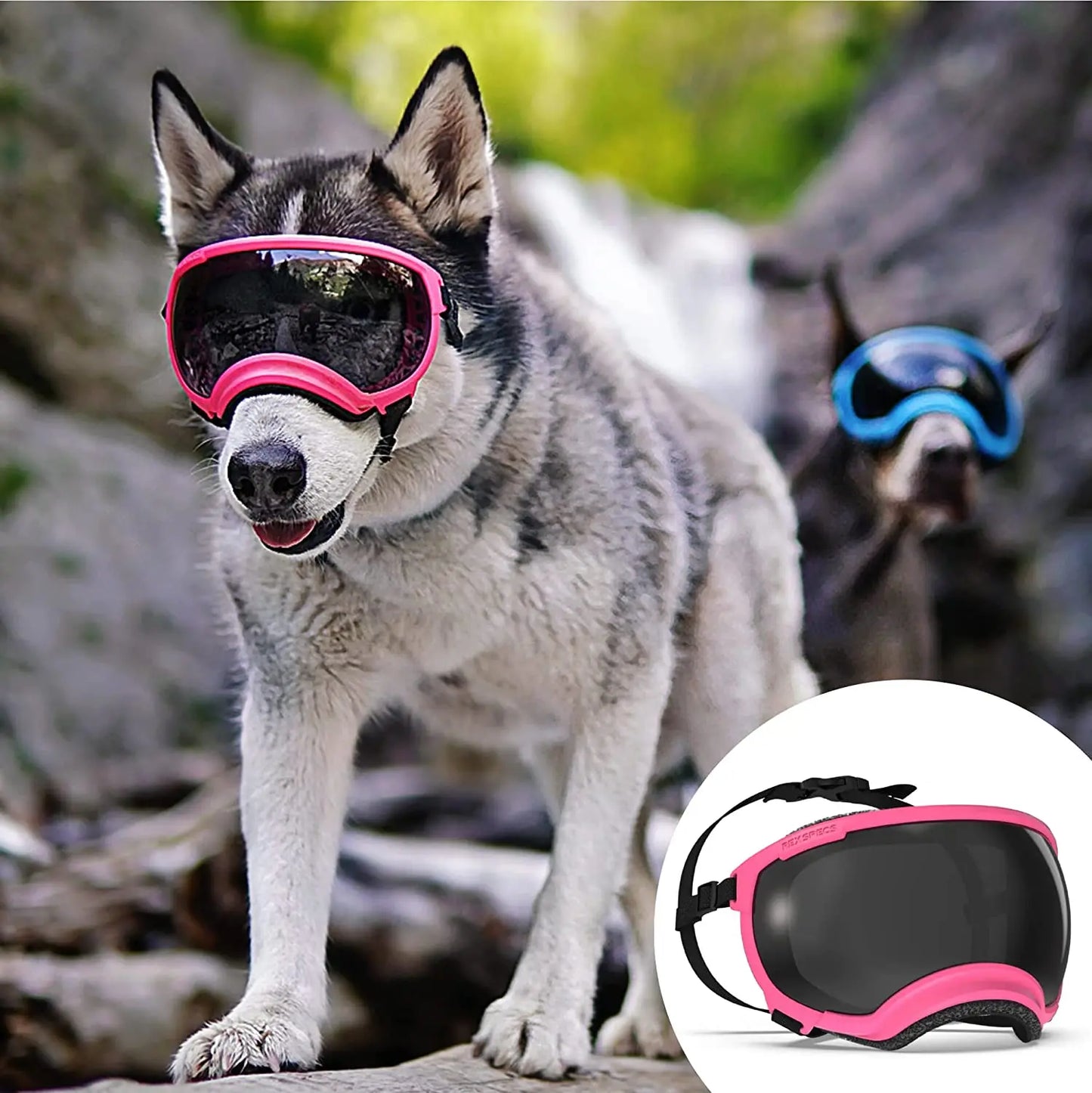 Anti UV Dog Goggles