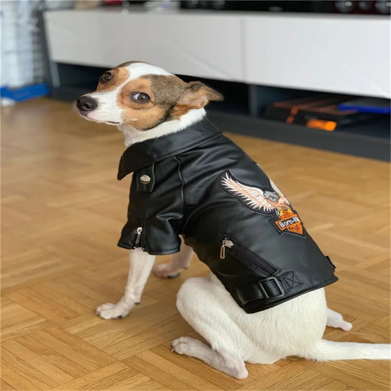 Born-Wild Dog Leather Jacket