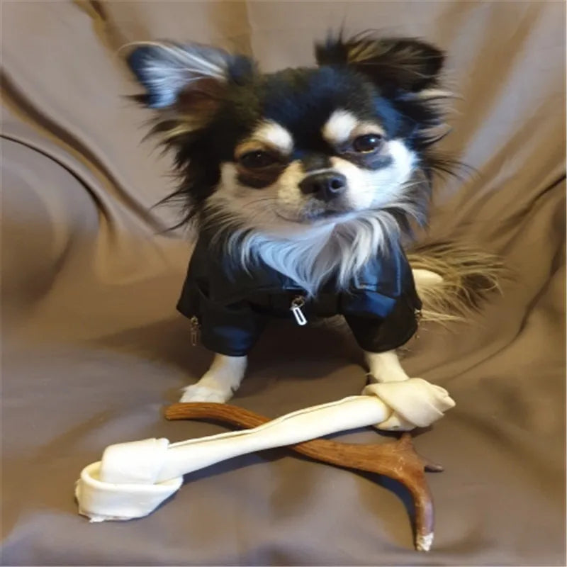Born-Wild Dog Leather Jacket