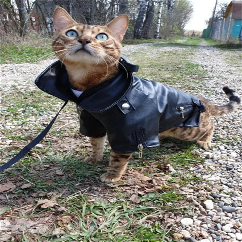 Born-Wild Dog Leather Jacket